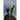 Seabird's Cry
