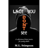 What You Don't See: A Collection of Short Stories for Young Adults