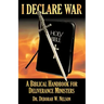 I Declare War