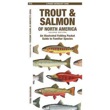 Trout & Salmon of North America, 2nd Ed: An Illustrated Folding Pocket Guide to Familiar Species