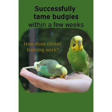 Successfully tame budgies within a few weeks: How does clicker training birds with budgerigars work? A step-by-step guide for budgies taming and parak