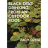 Black Dog Drinking from an Outdoor Pool