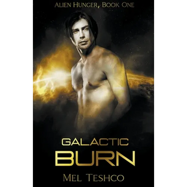 Galactic Burn: A Scifi Alien Romance
