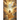 The Unfolding of the Scrolls; the Final Chapter: The Final Scroll