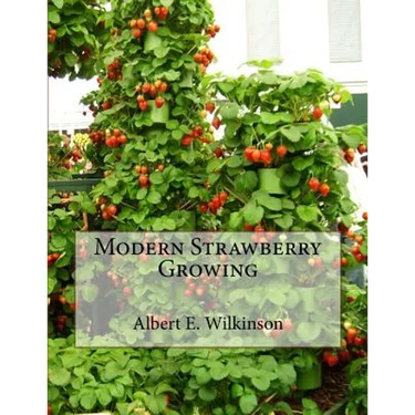 Modern Strawberry Growing