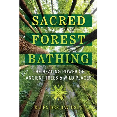 Sacred Forest Bathing: The Healing Power of Ancient Trees and Wild Places
