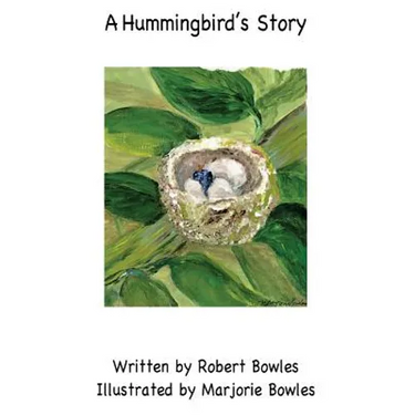 A Hummingbird's Story