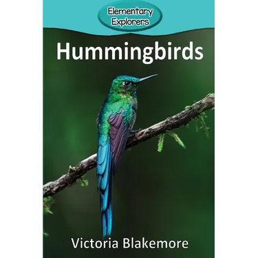 Hummingbirds