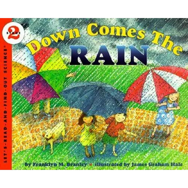 Down Comes the Rain
