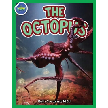 The Octopus ages 2-4