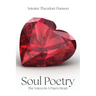 Soul Poetry: The Voices in a Man's Heart
