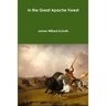 In the Great Apache Forest