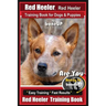 Red Heeler, Red Heeler Training Book for Dogs & Puppies By BoneUP DOG Training: Are You Ready to Bone Up? Easy Training * Fast Results Red Heeler Trai