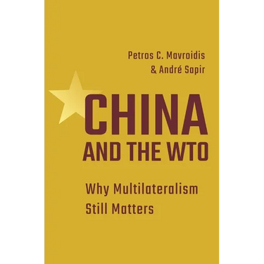 China and the Wto: Why Multilateralism Still Matters