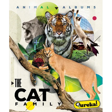The Cat Family