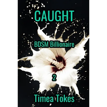 Caught: BDSM Billionaire, Book 2: (A Contemporary Office Romance Short Story)