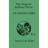 The Bobbsey Twins at Cedar Camp