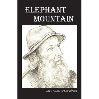 Elephant Mountain