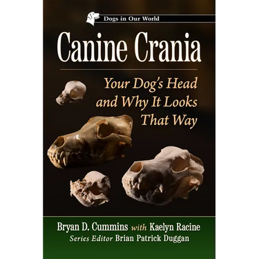 Canine Crania: Your Dog's Head and Why It Looks That Way