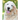That Dog is Friendly: A Beamer Book for Kids!