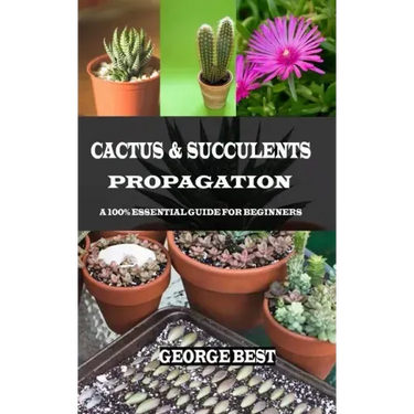 Cactus & Succulents Propagation: A 100% Essential Guide for Beginners