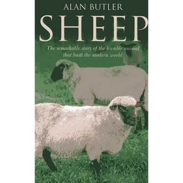 Sheep