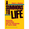 A Summons to Life:: Mediating Structures and the Prevention of Youth Crime