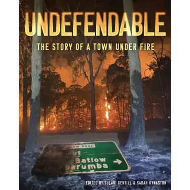 Undefendable: The Story of a Town Under Fire
