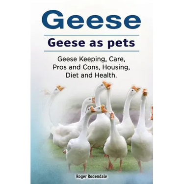 Geese. Geese as pets. Geese Keeping, Care, Pros and Cons, Housing, Diet and Health.