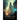 Through the Night: Tales of Shades and Shadows