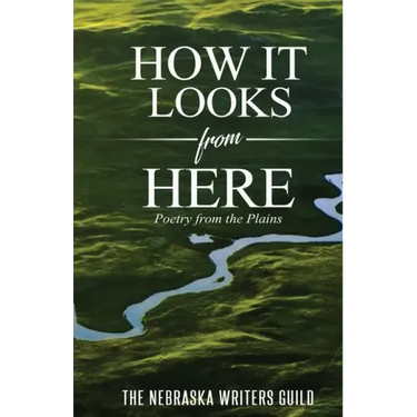 How It Looks from Here: Poetry from the Plains