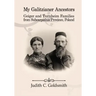 My Galitzianer Ancestors: Geiger and Turnheim Families from Subcarpathia Province, Poland