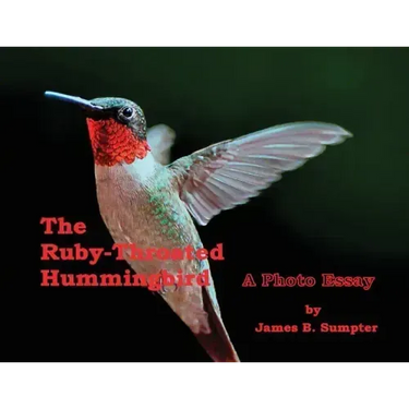 The Ruby-throated Hummingbird: A Photo Essay