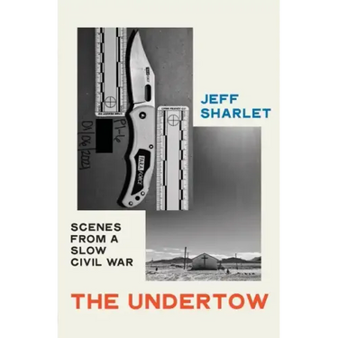 The Undertow: Scenes from a Slow Civil War