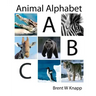 Animal Alphabet: From Alligator to Zebra