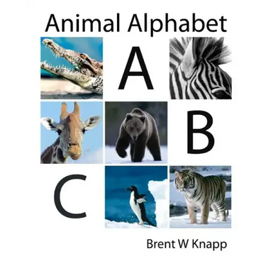 Animal Alphabet: From Alligator to Zebra