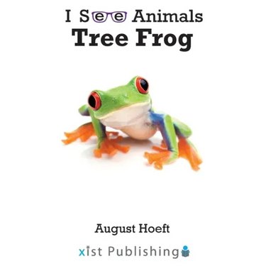 Tree Frog