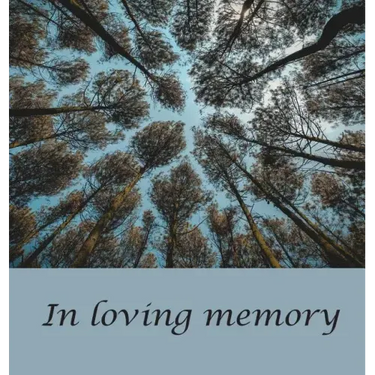 Funeral Guest Book (Hardcover): memory book, comments book, condolence book for funeral, remembrance, celebration of life, in loving memory funeral gu