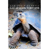 Galapagos Tortoise - Curious Kids Press: Kids book about animals and wildlife, Children's books 4-6