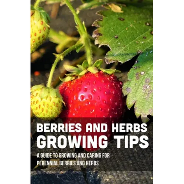 Berries And Herbs Growing Tips: A Guide To Growing And Caring For Perennial Berries And Herbs: Guide To Growing Perennial Herbs