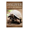Turtle Or Tortoise - Discover: Early reader's wildlife photography book