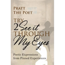 Try 2 See It Through My Eyes