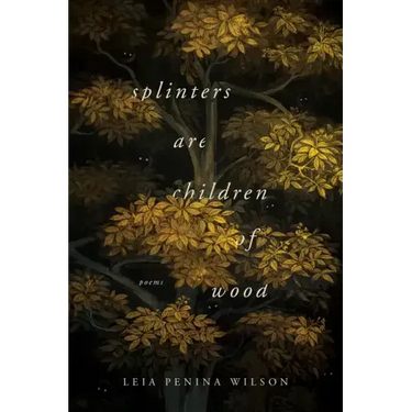 Splinters Are Children of Wood