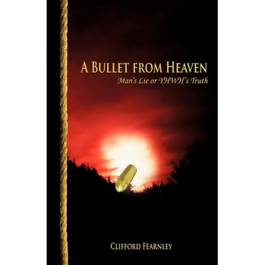 A Bullet from Heaven