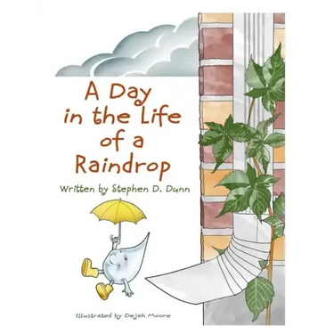 A Day In The Life Of A Raindrop