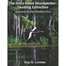 The Ivory-billed Woodpecker: Taunting Extinction: Survival in the Modern Era