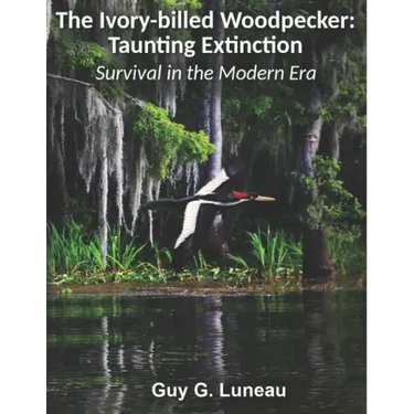 The Ivory-billed Woodpecker: Taunting Extinction: Survival in the Modern Era