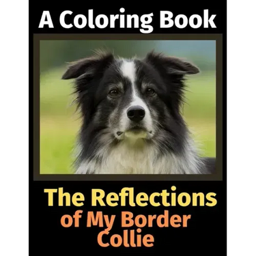 The Reflections of My Border Collie: A Coloring Book