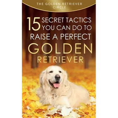 Golden Retriever: 15 Secret Tactics You Can Do To Raise a Perfect Golden Retriever