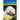 Coton de Tulear: Divine Dogs Online